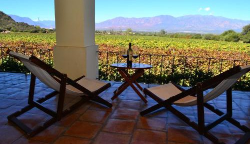 Double or Twin Room with Vineyards View