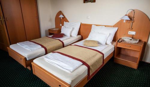 One-Bedroom Suite (2-4 Adults) 