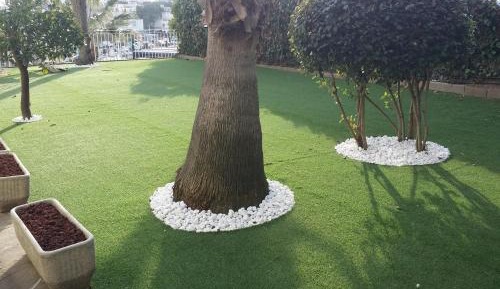 Triple Room with Terrace