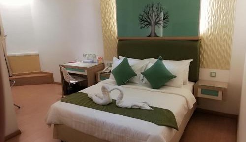 Deluxe Double or Twin Room