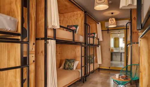 Bunk Bed in Female Dormitory Room  