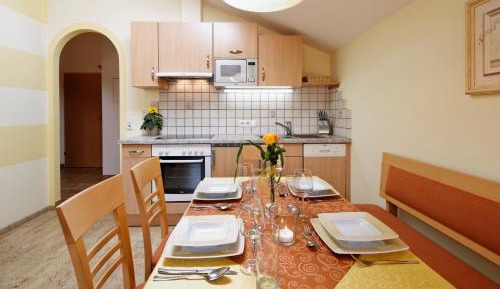 Large One-Bedroom Apartment
