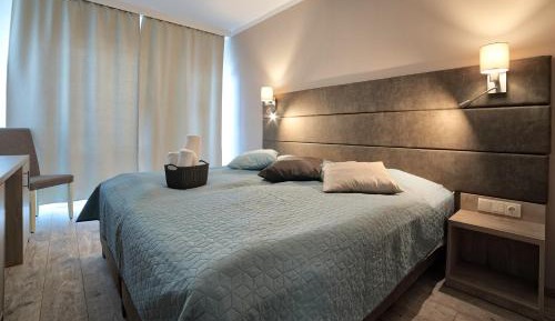 Superior Double or Twin Room with Lake View