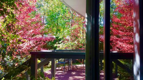 One-Bedroom Cottage - Kingfisher