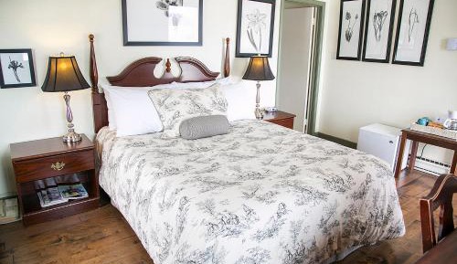 Superior Queen Room