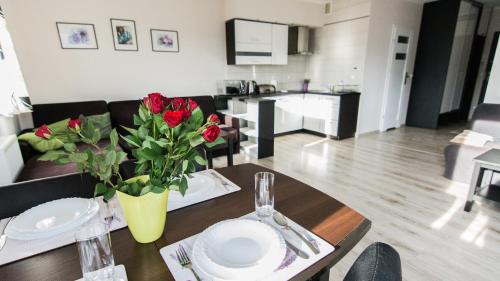 One-Bedroom Apartment (Widokowy)