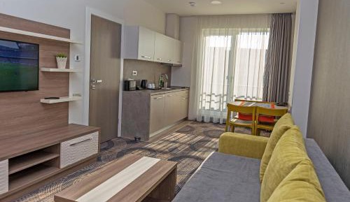 Business One-Bedroom Apartment