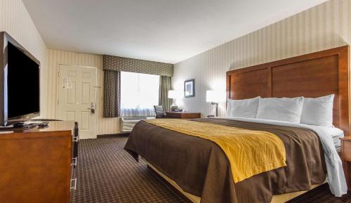 Standard King Room