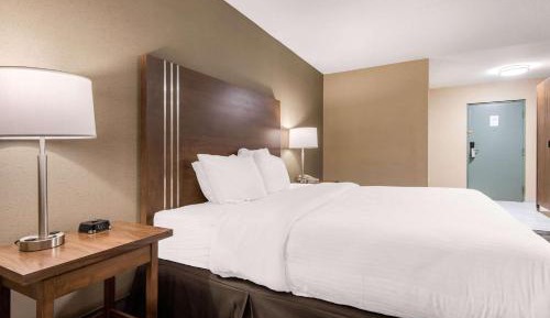 King Room - Non-Smoking