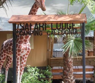Safari Tent