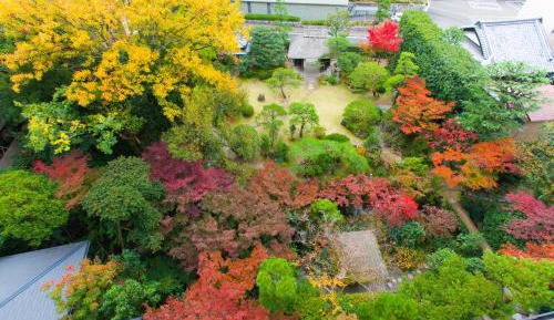 Japanese-Style Room with Garden View - Non-Smoking