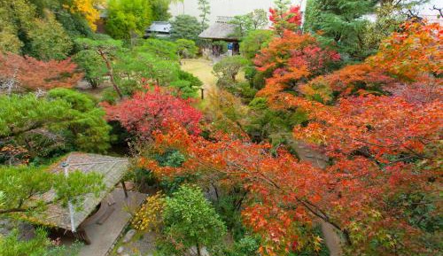 Deluxe Twin Room with Tatami Area - Non-Smoking 