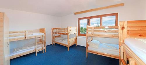 Bed in 8-Bed Dormitory Room with Shared Bathroom