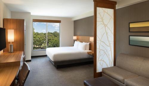 King Room with Sofa Bed