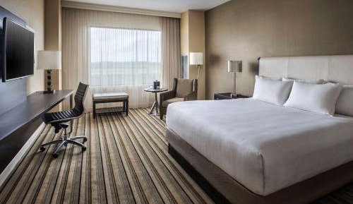 King Room with Accessible Shower - Disability Access