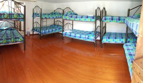 Single Bed in 10-Bed Dormitory Room
