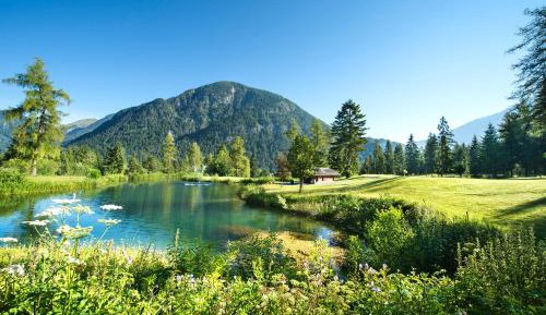 Apartment (2-4 Adults)