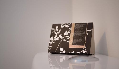 Studio - Disability Access