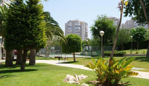 Apartment with Garden View