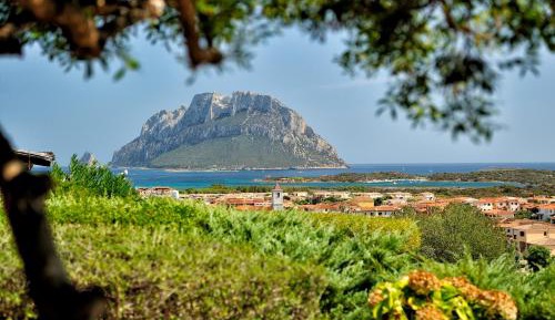 Studio Apartment with Sea View