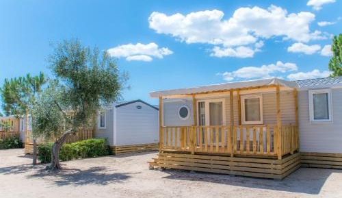 Mobile Home - Alabama