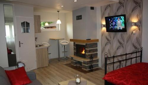 Studio with Fireplace