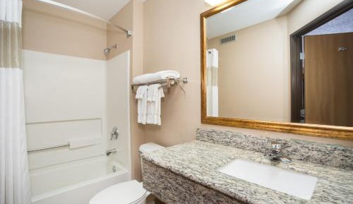 Deluxe King Suite - Non-Smoking