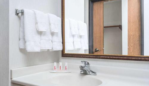 Double Room with Two Double Beds - Non-Smoking