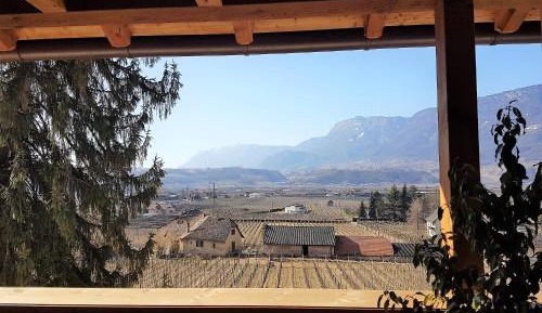 Superior Double Room with Garden View