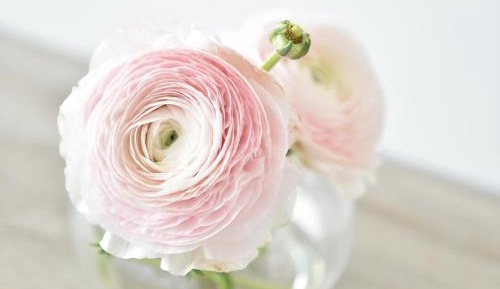 Large Double or Twin Room