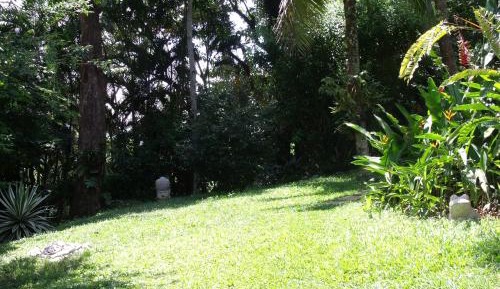 Studio with Garden View