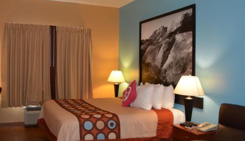 Business King Room - Non-Smoking