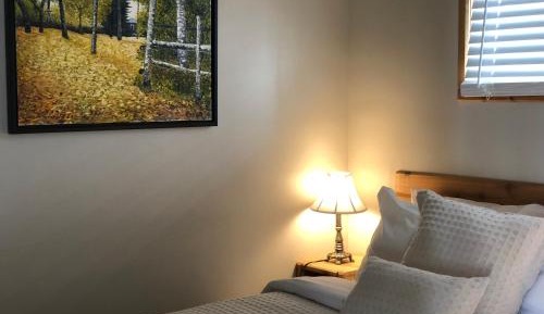 One-Bedroom Cottage and Kitchenette #4