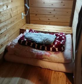 Single Bed in Male Dormitory Room