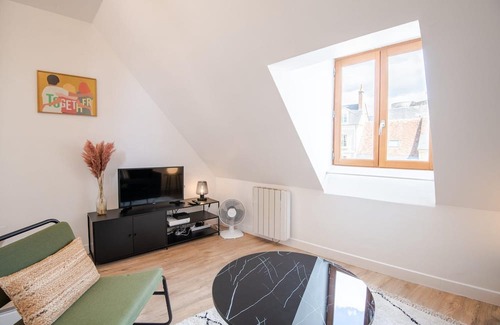 Amboise Apartment | Amboisian attics