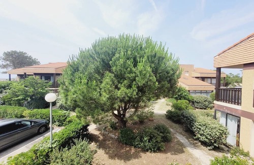 Mimizan Apartment | Bel Appartement Dans une Résidence au Bord du Courant de Mimizan - 6 Personnes