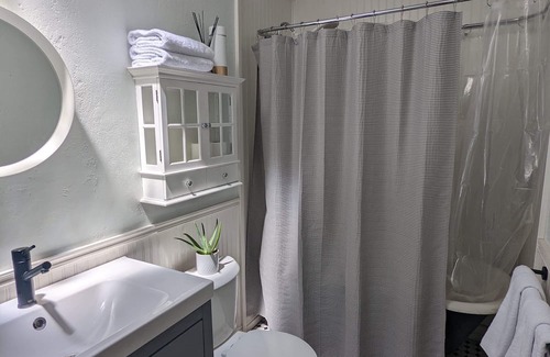 Whittier House | Denver’s Ultimate Getaway! Cozy one bed with big yard! Pet friendly!