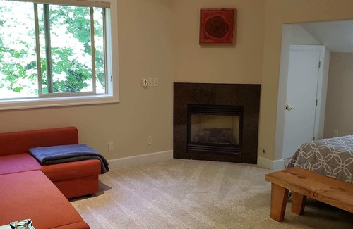 Bainbridge Island Condo | Walkable Location with Rooftop Deck and Sauna - Cascade
