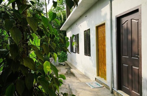 Chithirapuram House | Flavor & Relaxing Stay/Spice Plantation/Munnar