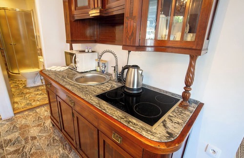 Tomasikovo Apartment | Apartman Vintage A101