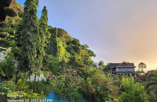 Port of Spain Condo | Flower Of Joy Wellness Villa