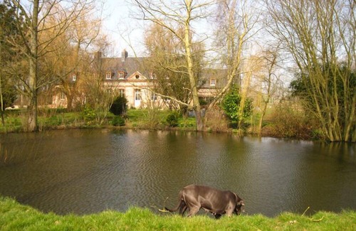 Sassetot-le-Mauconduit House | Briquedalles Manor