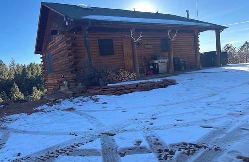 Woodland Park Cabin | Nice cabin with WiFi in charming Woodland Park