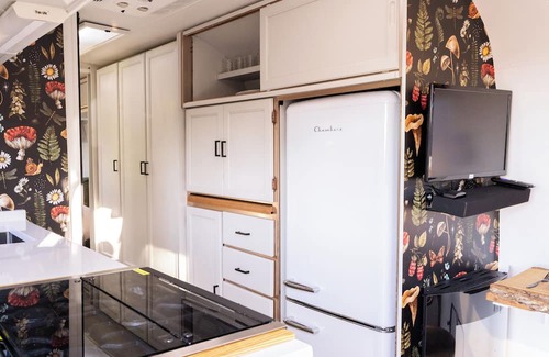 Sand Gap House | Mountain Air Escape's Airstream Excella w/Hot Tub- Couples Retreat