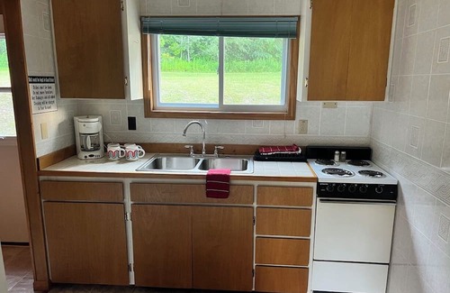 Cadillac Cabin | 3-bedroom cabin in charming Harrietta with WiFi. Perfect for a getaway.