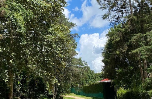 El Carrizal House | Charming hotel near the delightful "Pueblo Mágico", Coatepec, Ver.
