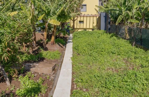 Calheta Apartment | Sky Ocean 1st Floor Apartment