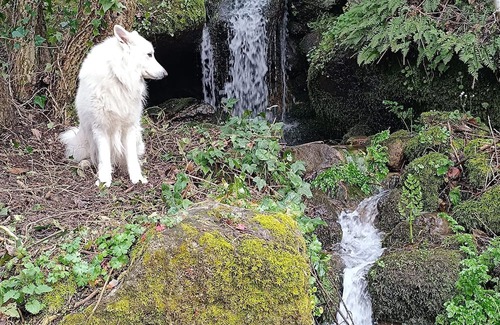 Tarouca Cottage | Casa Florestal @quintafelizardas