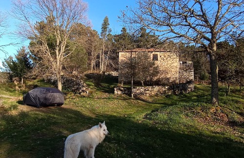 Tarouca Cottage | Casa Florestal @quintafelizardas