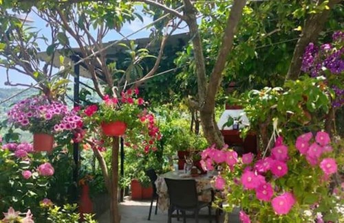 Makrirrakhi Apartment | Hara s House Pelion